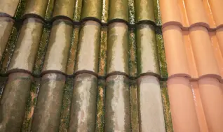 Décrassage ou démoussage de toiture