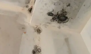 Traitement contre l'humidité